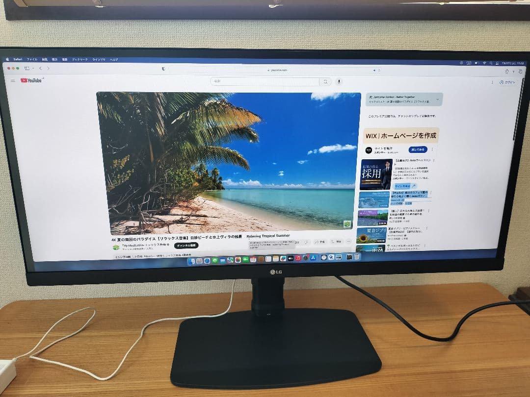 美品 LGモニター29WL500-B 29インチ21:9 1080HDR IPS