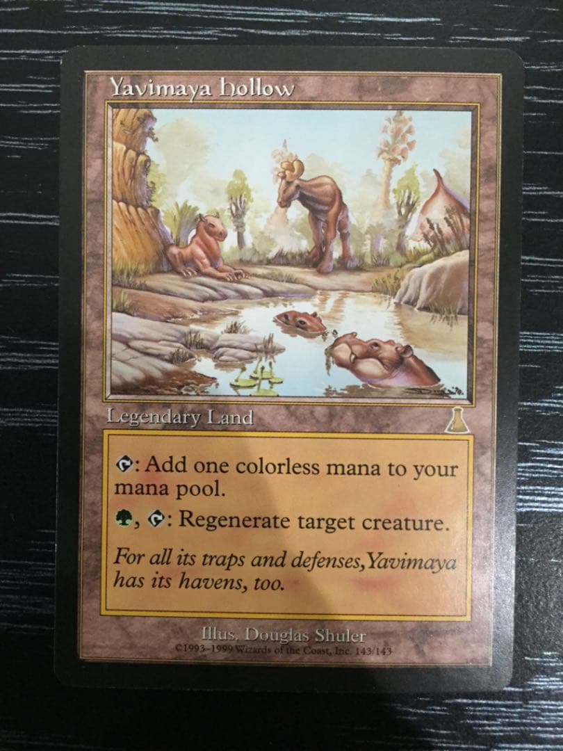 MTG 英語 Yavimaya hollow