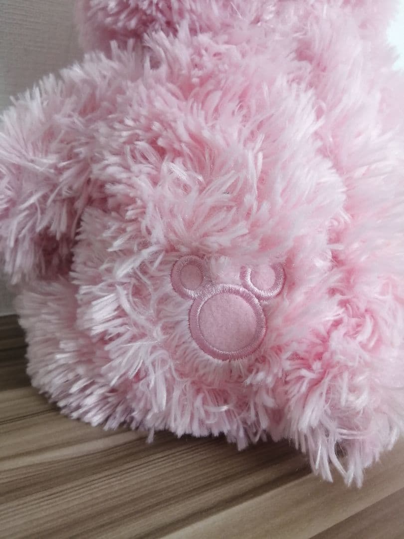 WDW ダッフィー ディズニー ピンク　Disney land sea