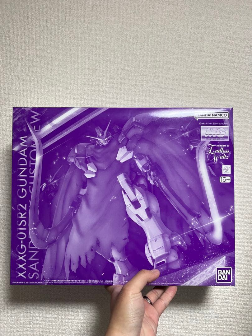 MG 1/100 ガンダムサンドロック改 EW