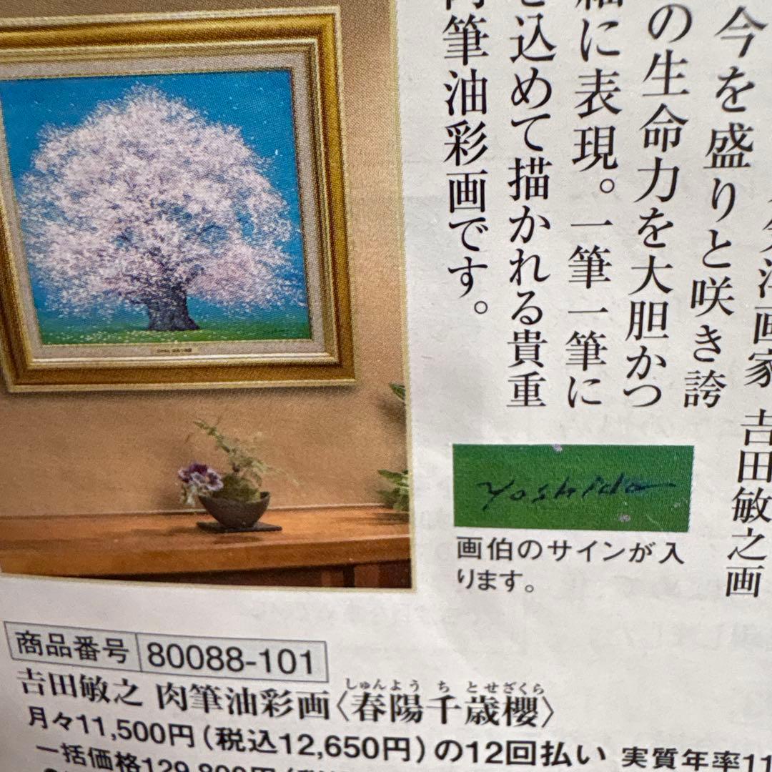 春陽千歳桜 吉田誠之 作品