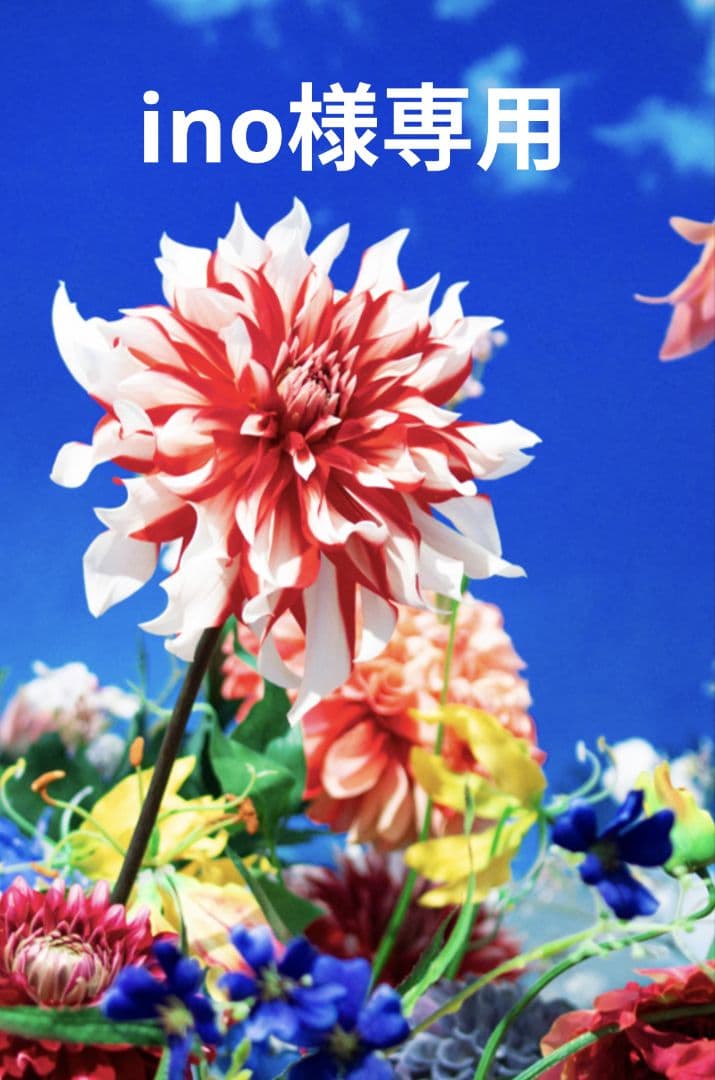 平和堂貿易 クイーンジュエリー Pt950 極上美 ダイヤモンドリング