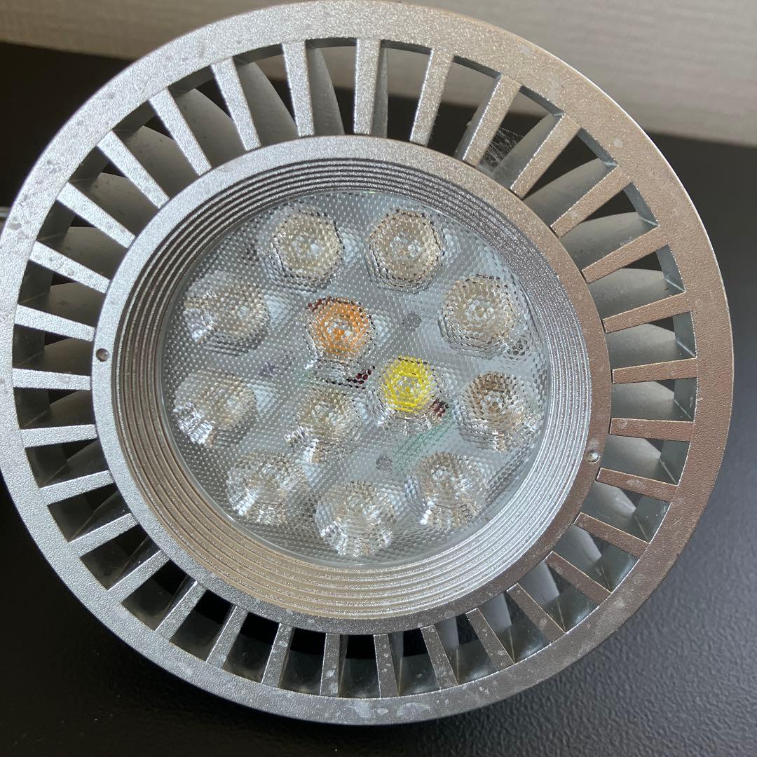 volxjapan Grassy ledio RX122 Coral おまけ付き