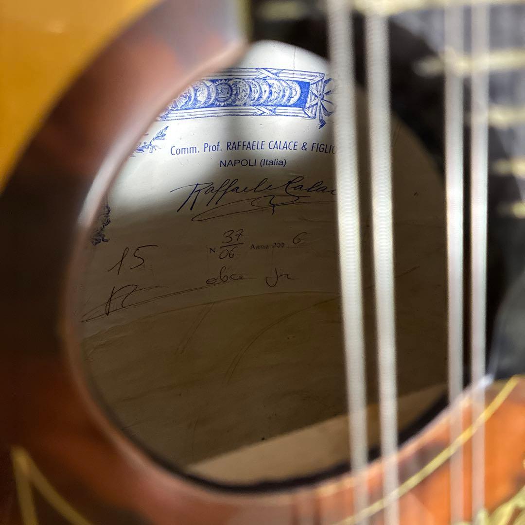 Raffaele Calace & Figlio マンドリン ケース付