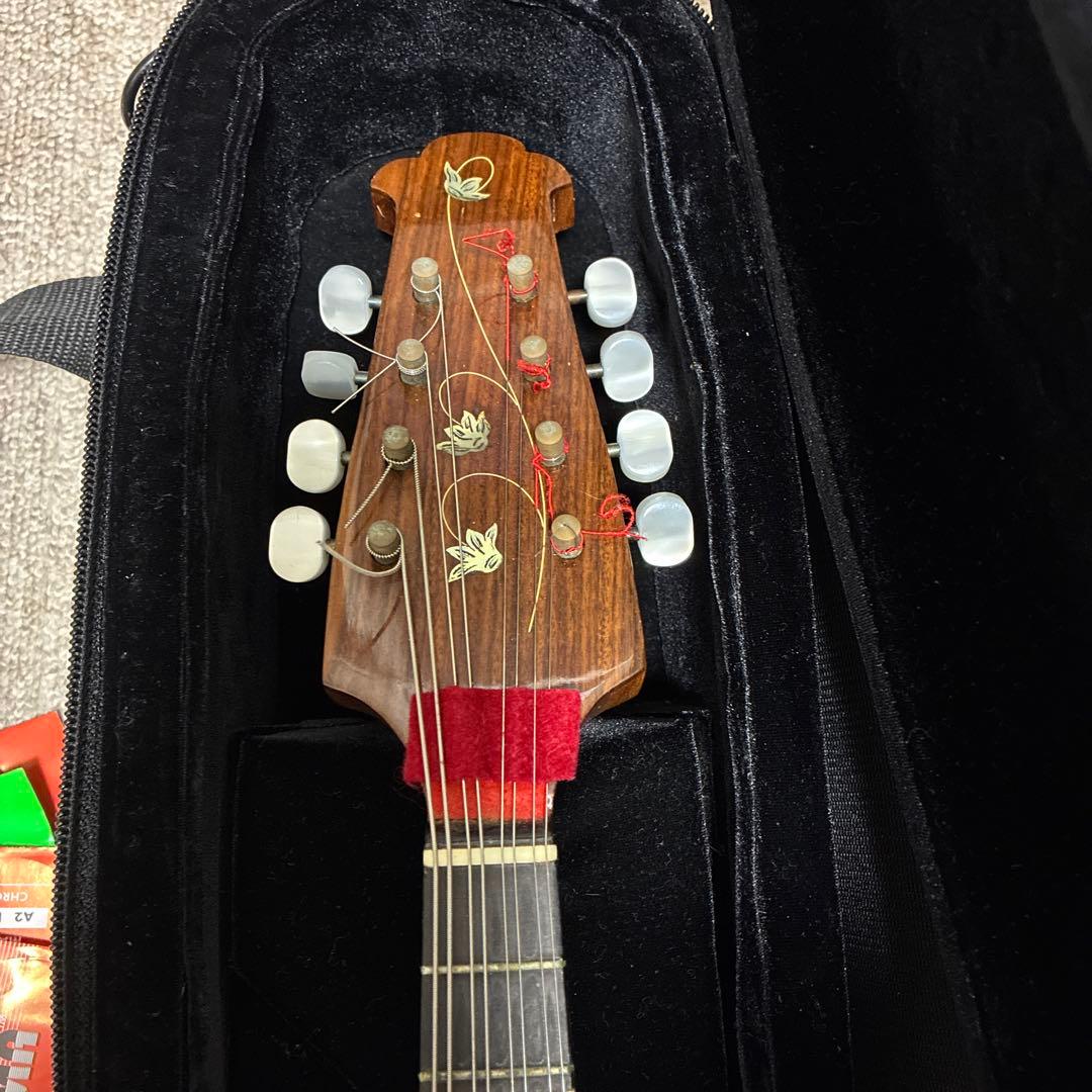 Raffaele Calace & Figlio マンドリン ケース付