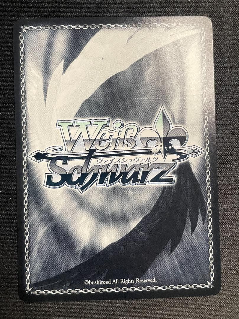 WS ヴァイス SP 選択した未来 宗介＆かなめ 富士見ファンタジア文庫