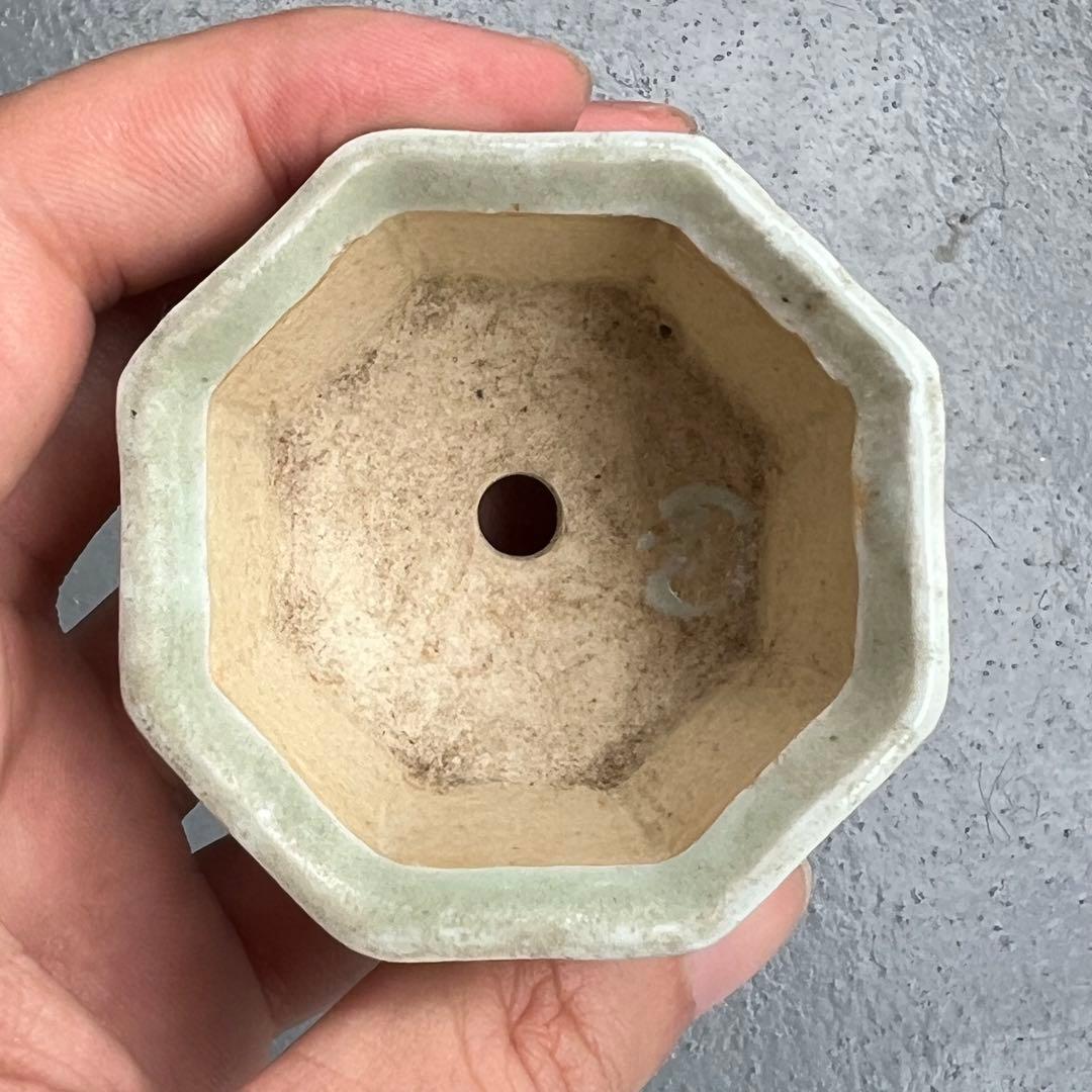 759.夢陶 額入八角鉢 盆栽鉢 豆鉢 5.6*5.9*3.8cm