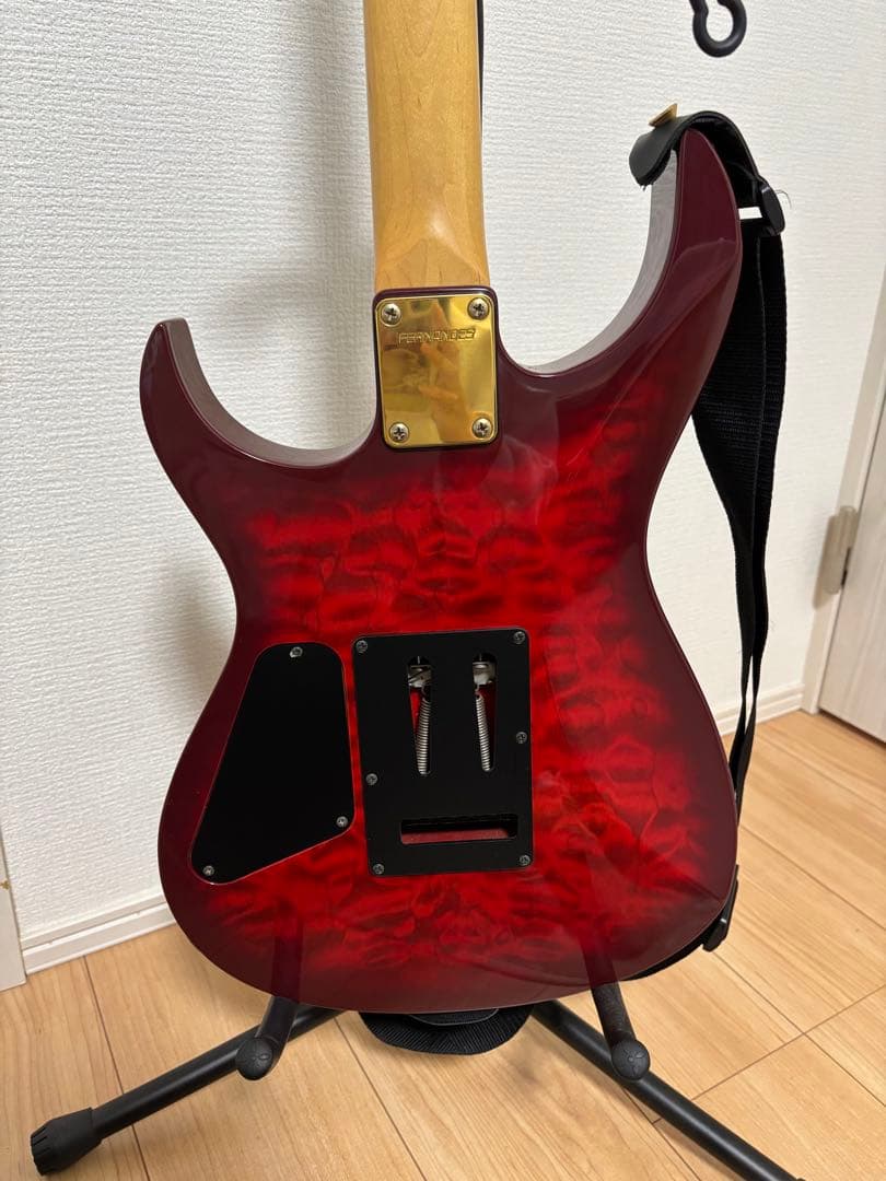 エレキギター FERNANDES ギターケース付き