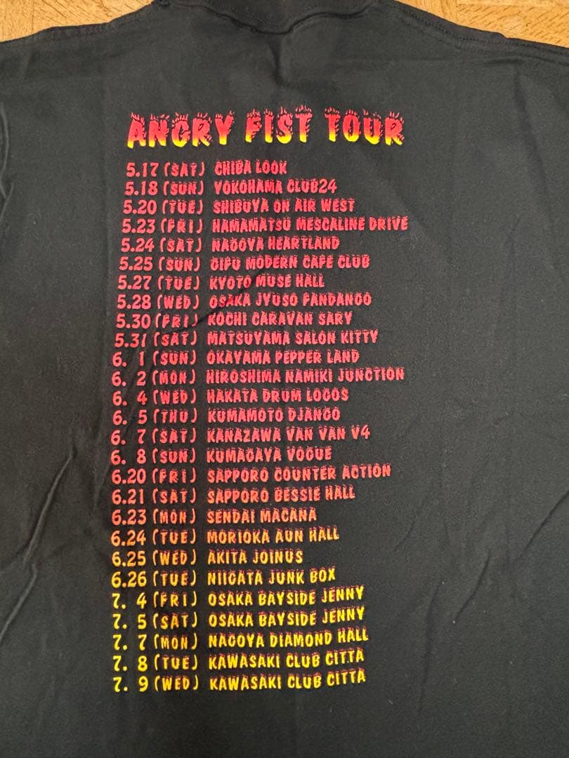 Hi-STANDARD ハイスタ バンド90’s ヴィンテージ ツアーＴ