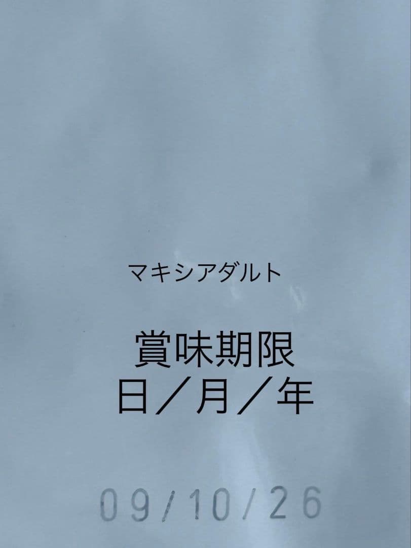 CANIN マキシ アダルト 16kg