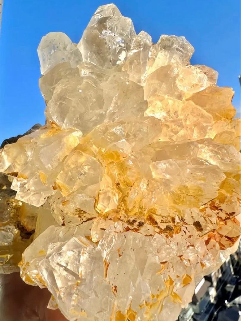 特別価格✨美✨希1.2k✨AAAAAゴールデン ガネッシュヒマール 黄金の華冠✨