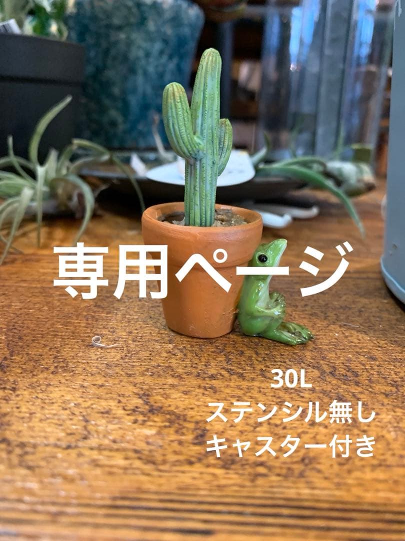 ストロベリー様　ダストボックス　30L アメリカン　お洒落ゴミ箱　分別ゴミ箱