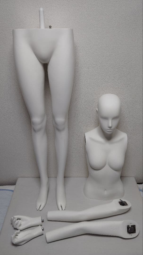 ディスプレイ用婦人マネキン　腰受け　ウィメンズ　直立　FRP　衣装展示　店舗