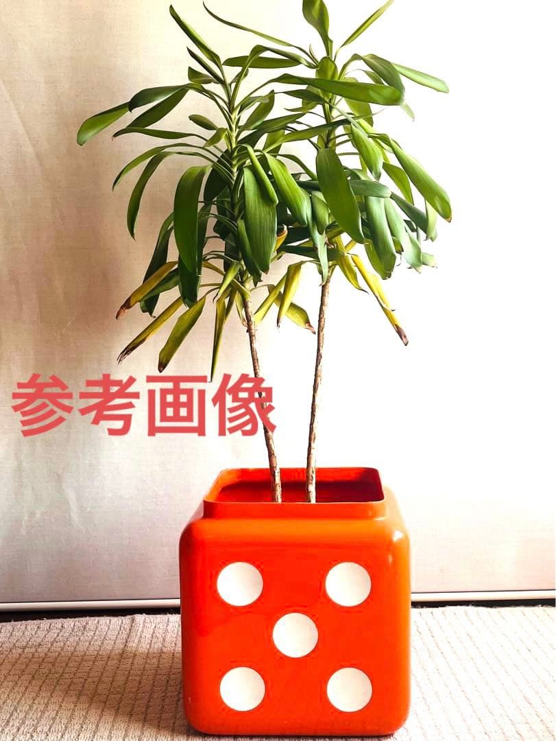 サイコロ型　ビンテージスツール　オレンジ