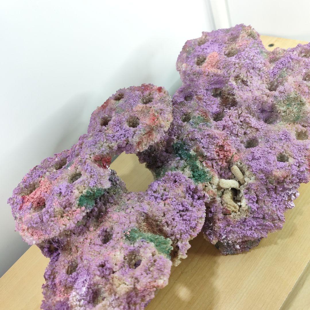 ✐プラグ穴付き 新品 人工ライブロック 60cm海水水槽用 レプリカ 安い3