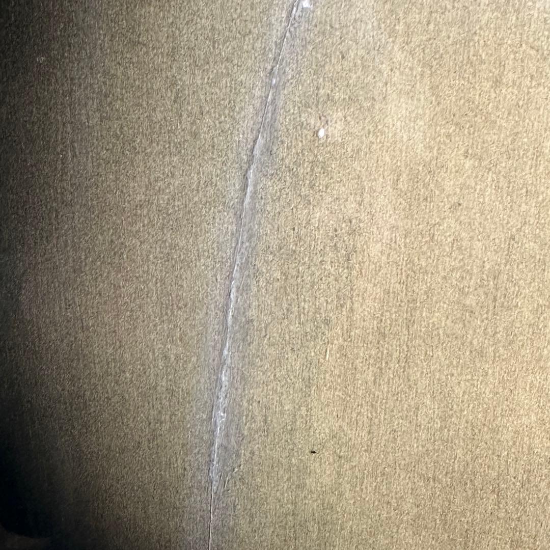 celebrity by ovation エレアコ