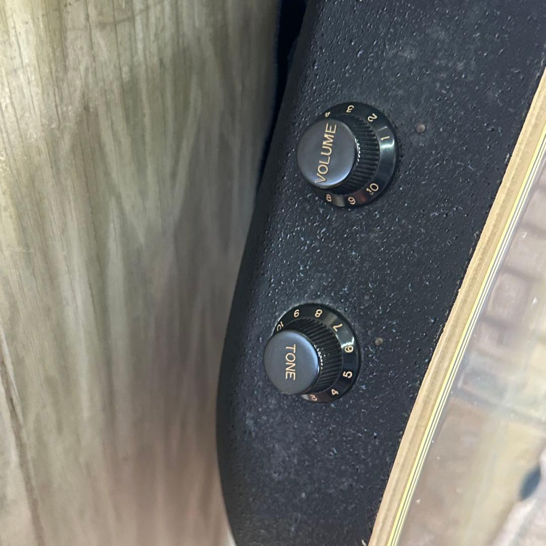 celebrity by ovation エレアコ