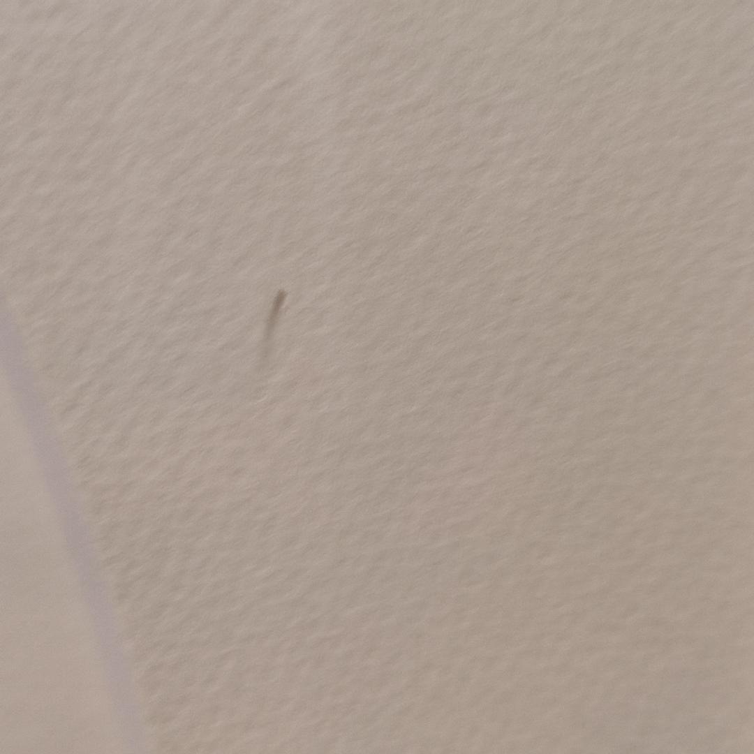 事務所　アールビバン 版画 天広直人 可憐&亞里亞 5/30 シルクスクリーン