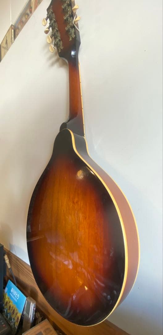 肘痛さま 専用 The Kasuga Customフラットマンドリン