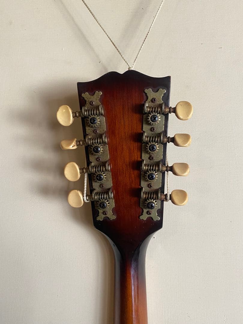 肘痛さま 専用 The Kasuga Customフラットマンドリン