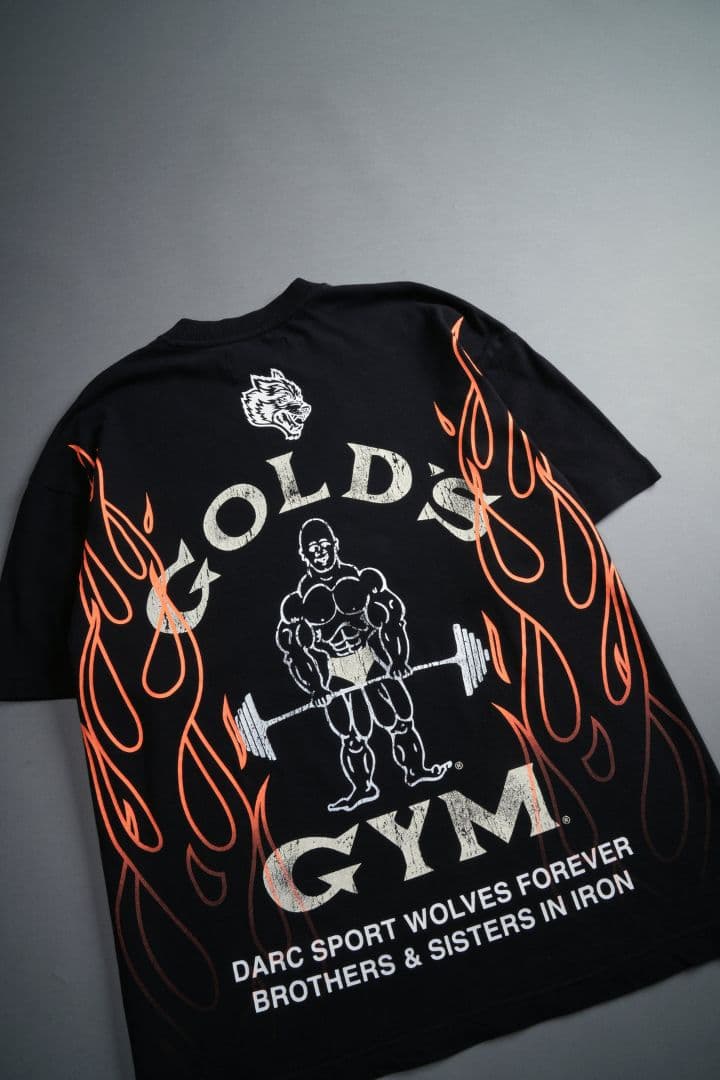 ダルクスポーツ ゴールドジム Tシャツ M