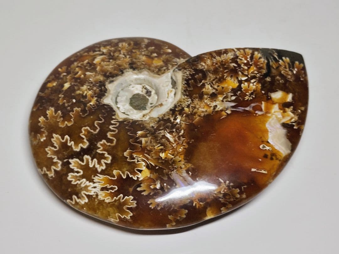 アンモナイト 383g アンモライト オパール 原石 鑑賞石 自然石 誕生石