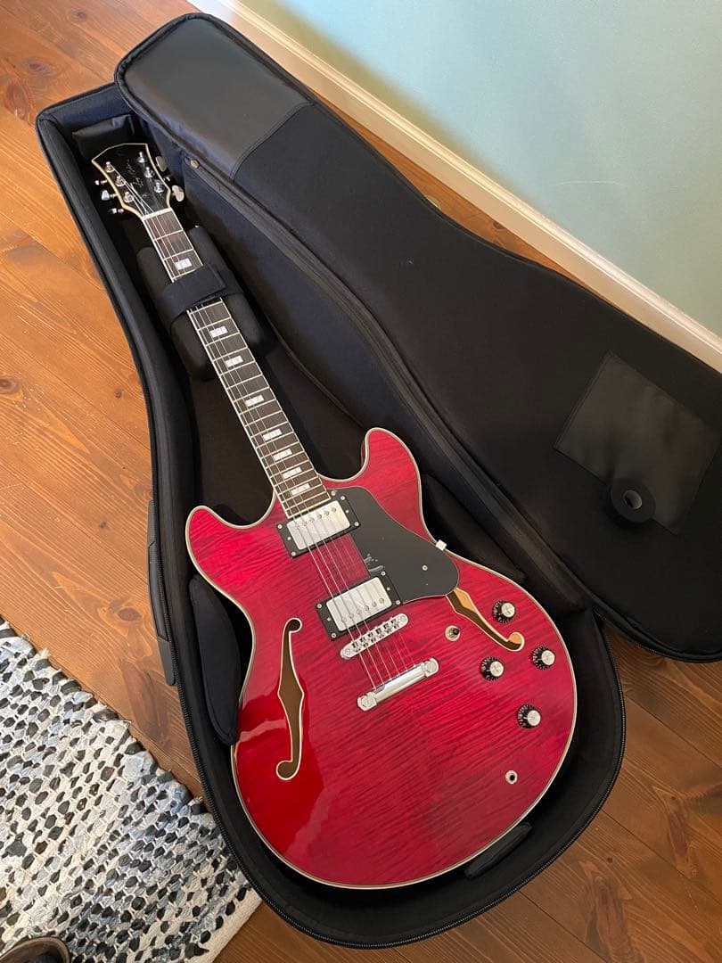 Sire Larry Carlton H7【13.14日限定値下げ】