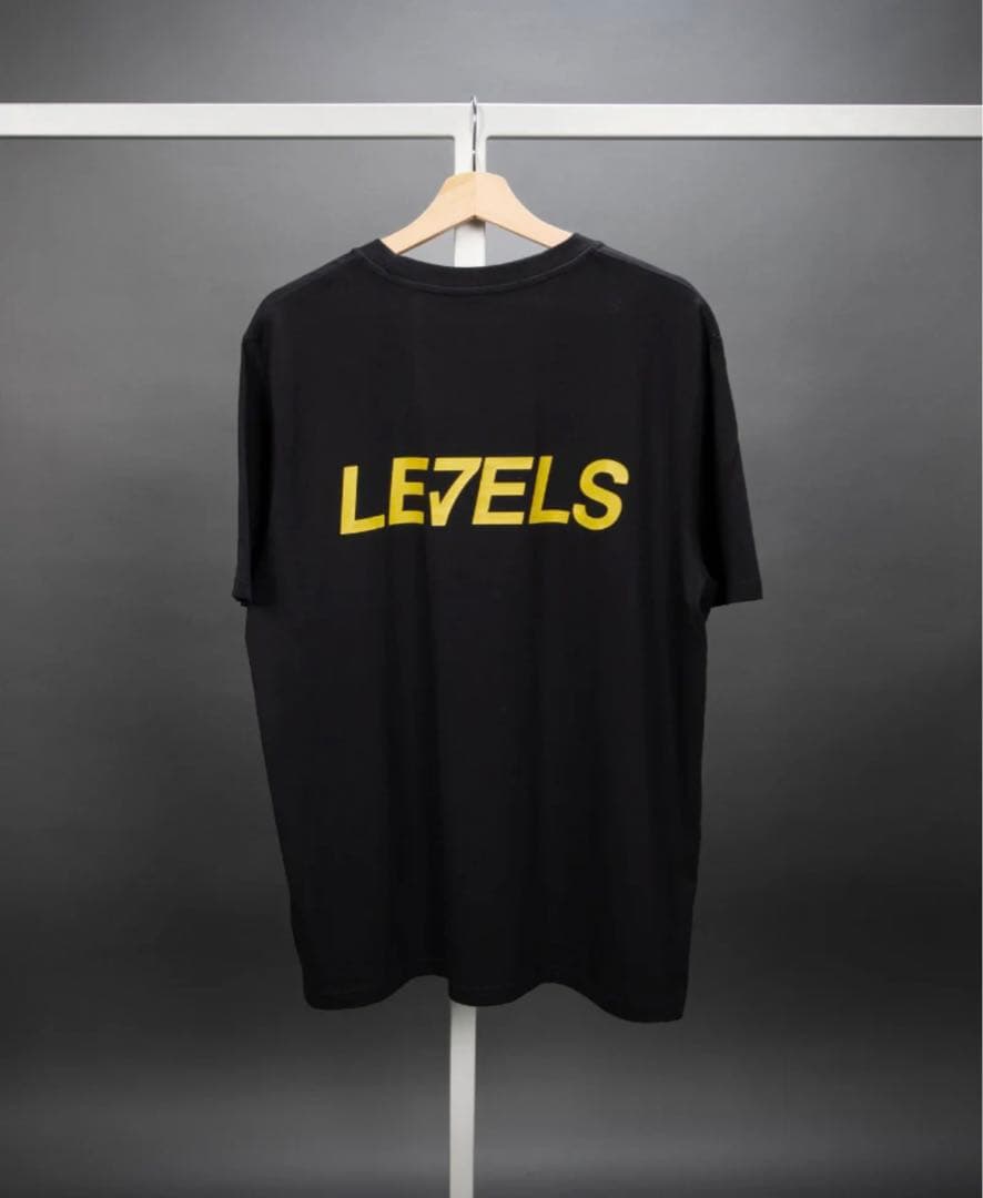 【激レア】Avicii LE7ELS 公式Tシャツ