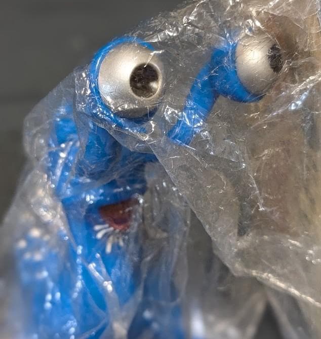 ナメゴン「ウルトラQ」登場怪獣（ブルマァク復刻）未開封ソフビフィギュア