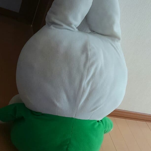 可愛いウサちゃんのぬいぐるみ