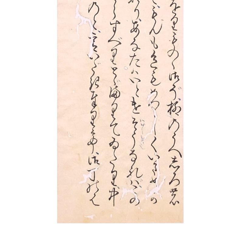 【「紫式部日記」古筆切 】　天文12年（1543）　杉田玄白・所蔵写本