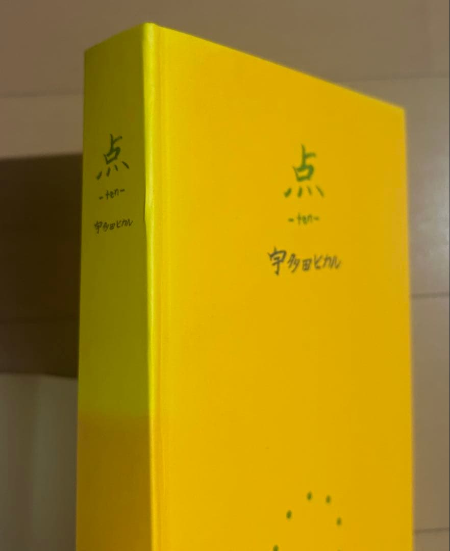 宇多田ヒカル 点 ―ten―、線 ―sen― 2冊セット