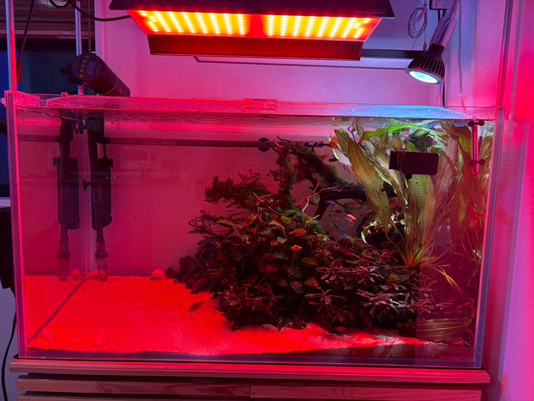 水槽 ライト Chihiros RGB VIVID Ⅱ