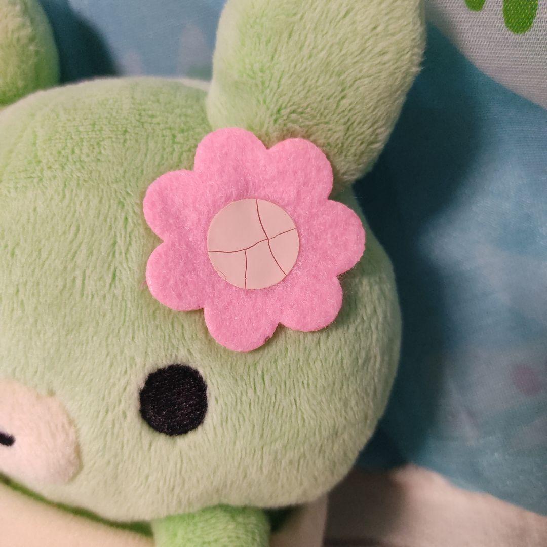 サンエックス　サボカッパ　ぬいぐるみ