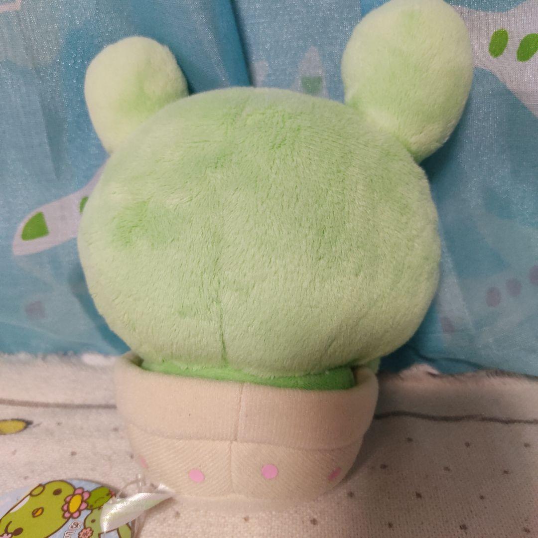 サンエックス　サボカッパ　ぬいぐるみ