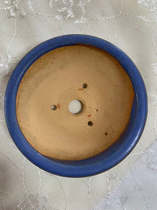 美芸　盆栽鉢　丸　青