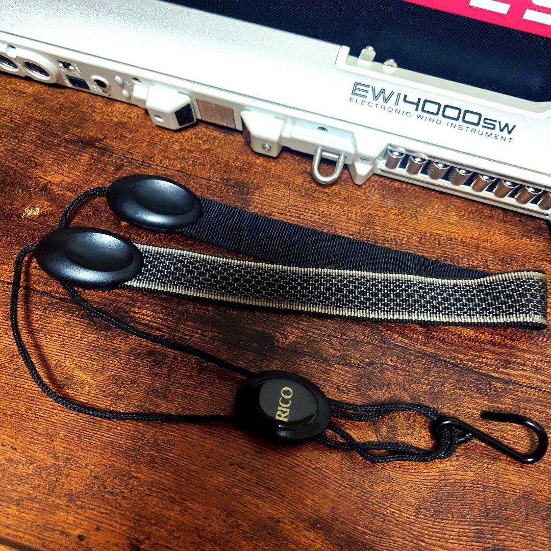 AKAI EWI-4000sw 専用ケース付き