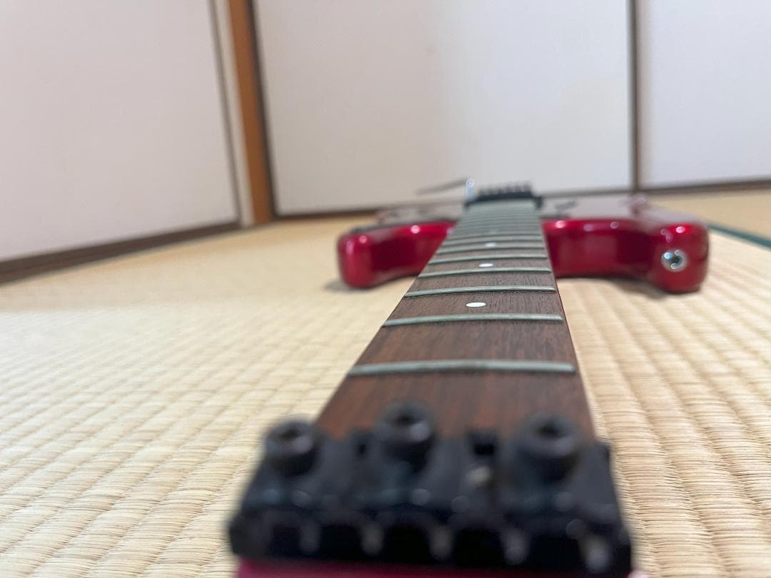 FERNANDES FST-65 電装系なし　スケルトン