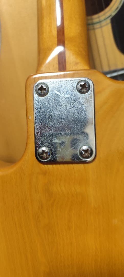 Zenon Electric Guitar エレキギター 全音 roje