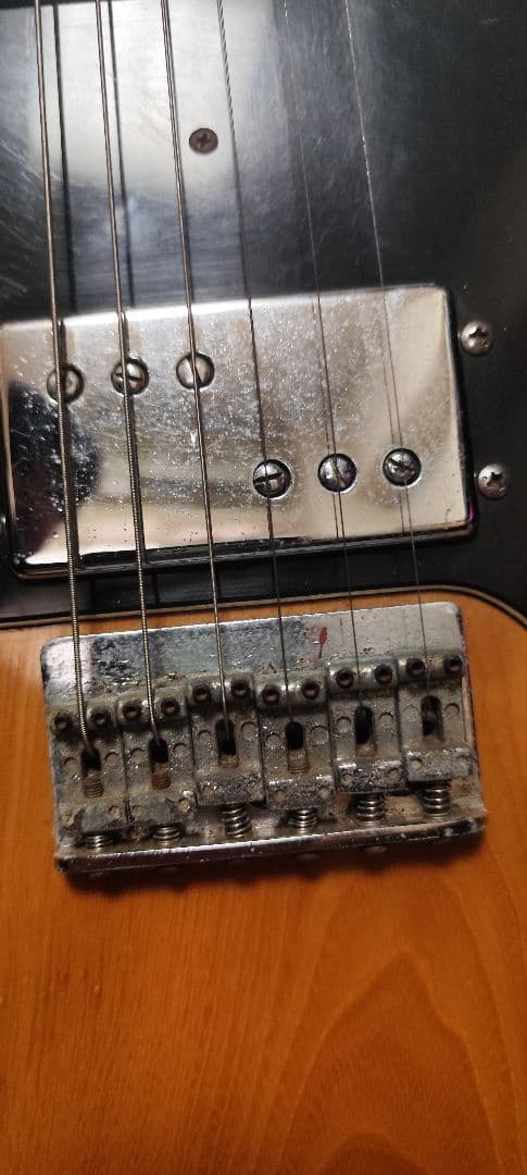 Zenon Electric Guitar エレキギター 全音 roje