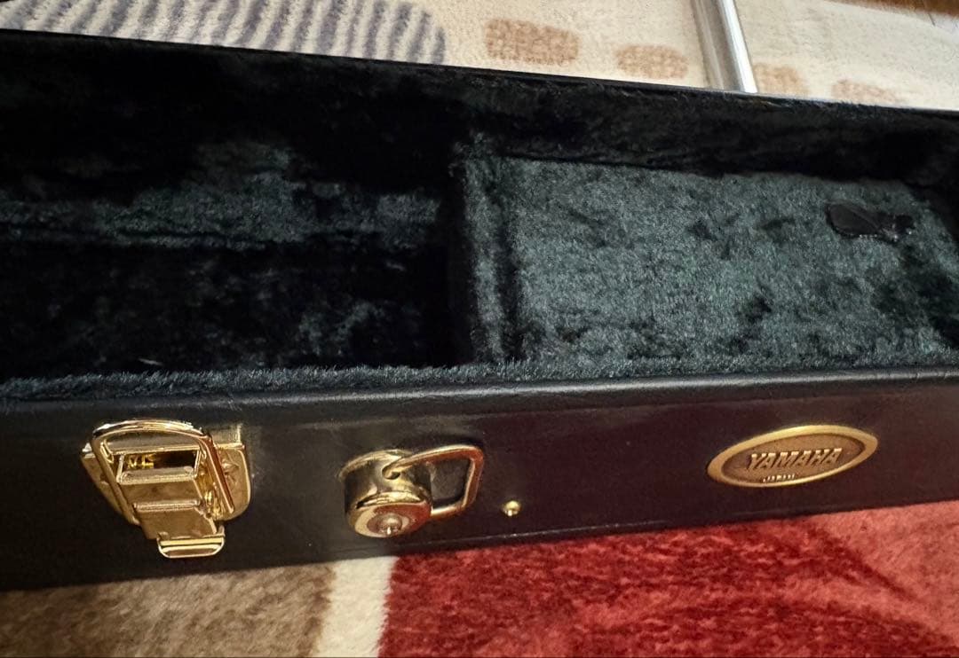 J*n様 Yamaha APX700 NT エレアコ(ハードケース付)