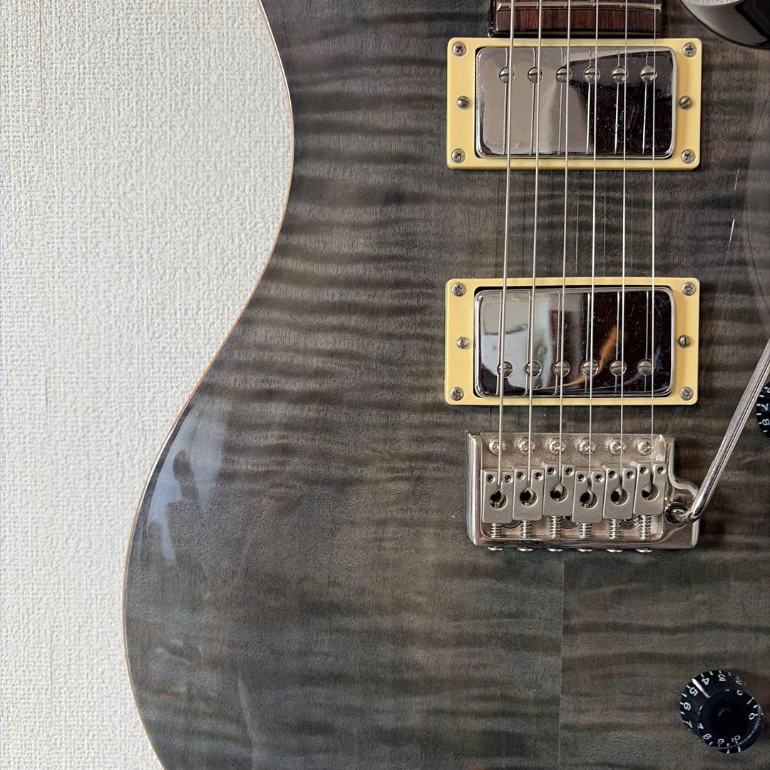 PRS Custom 24 SE エレキギター グレー