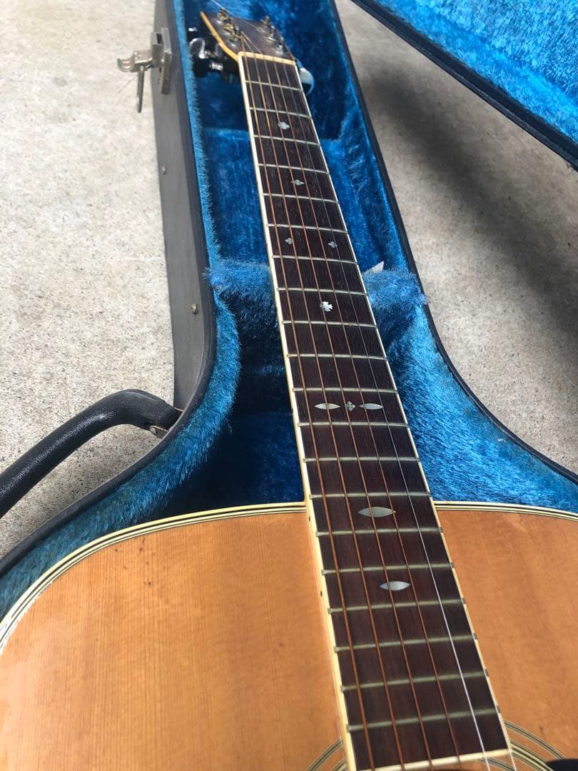 ギター Cat's Eyes CE-600