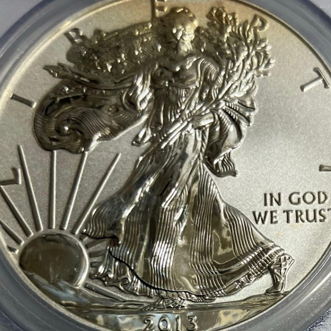 ぽ*ん様 訳あり　ウォーキングリバティイーグルリバース銀貨1オンス 2013年版