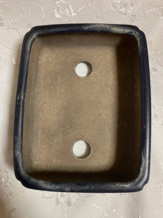 祝峯　盆栽鉢131