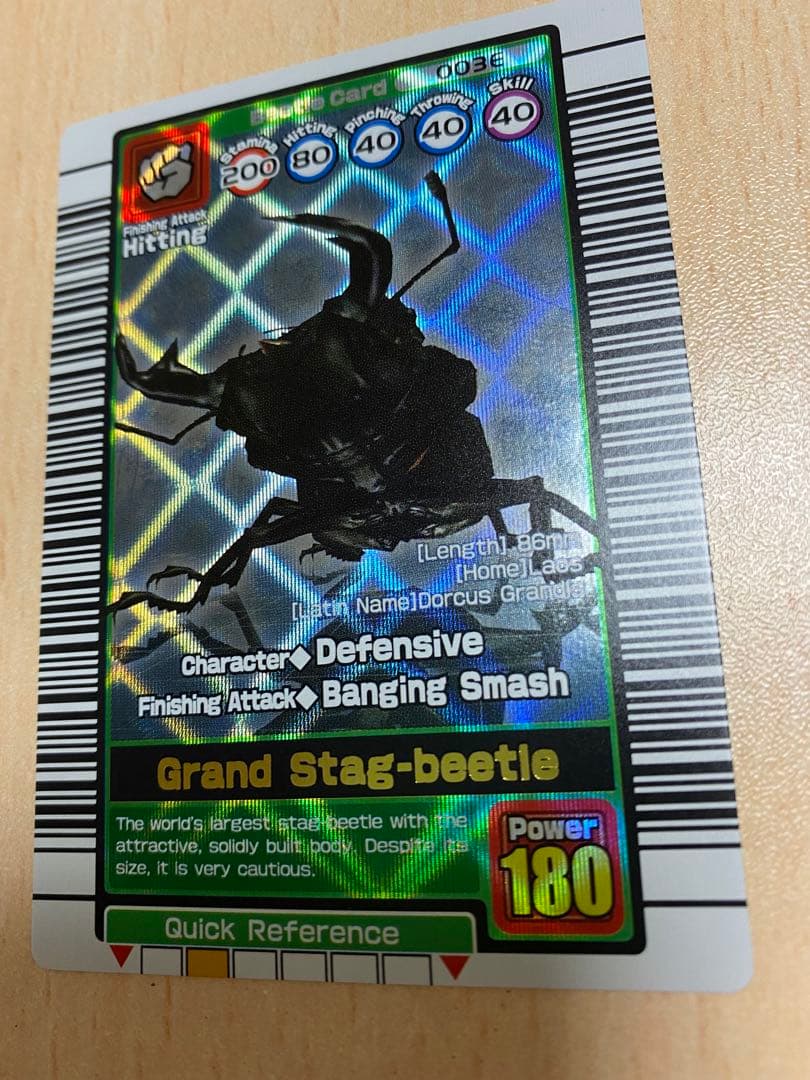 甲虫王者ムシキング グランディスオオクワガタ 英語版