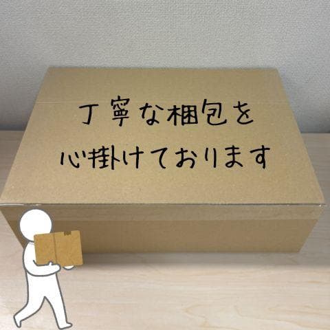 【2025モデル】BigBlue 28W ソーラーパネル 小型 3ポートUSBp