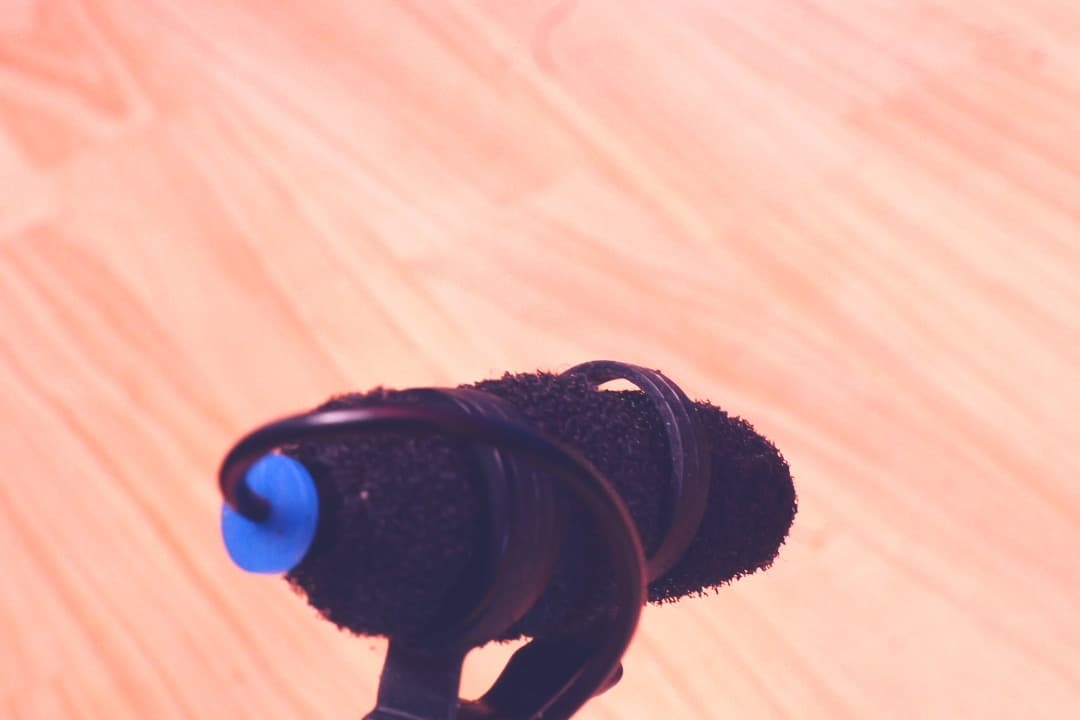 DPA ( ディーピーエー ) 4099-DC-1-201-C　チェロ 訳あり