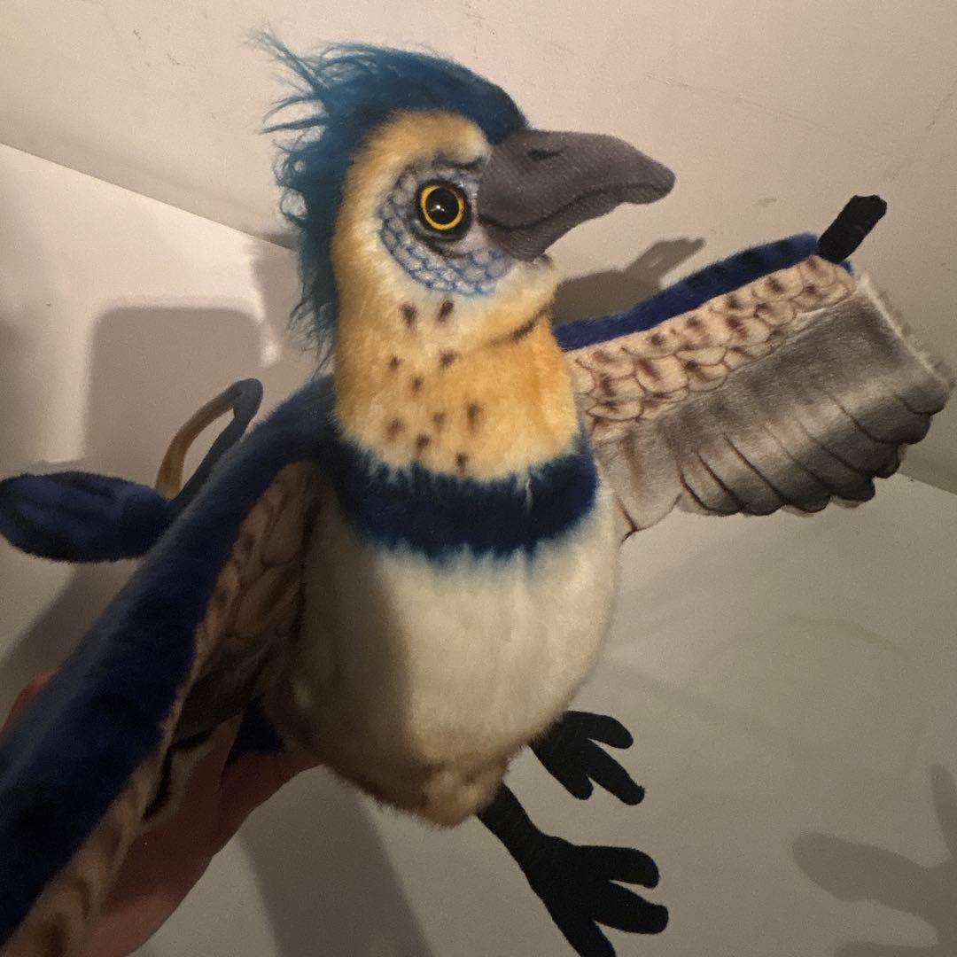 hansa 始祖鳥　アーケオプテリクス　廃盤　国内未発売　希少