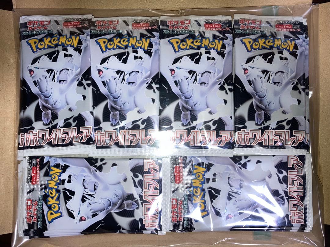 サーチ済　ホワイトフレア　バラ60パック